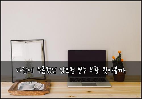 바람에 주춤했던 암보험 필수  부활 찾아볼까