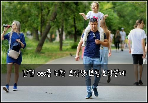 간편 ceo를 위한 보장정기보험 보장설계 