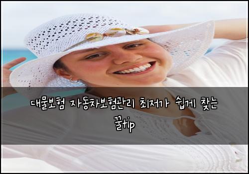 대물보험 자동차보험관리 최저가 쉽게 찾는 꿀tip