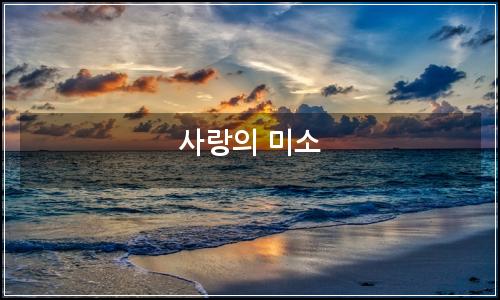 오늘의 이미지