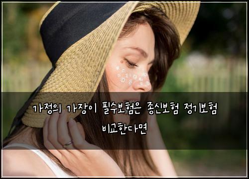 가정의 가장이 필수보험은 종신보험 정기보험 비교한다면