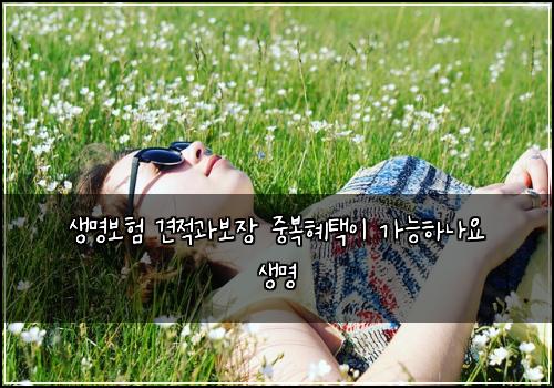 ์๋ช
๋ณดํ ๊ฒฌ์ ๊ณผ๋ณด์ฅ ์ค๋ณตํํ์ด ๊ฐ๋ฅํ๋์ ์๋ช