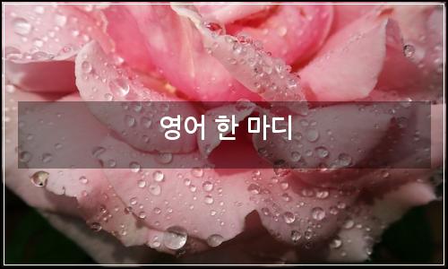오늘의 이미지