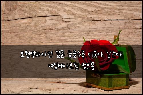 보험백과사전 결혼 늦을수록 미숙아 낳는다 여성태아보험 정보통