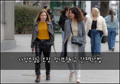 사망보험금 보장 정기보험비교 간편확인법