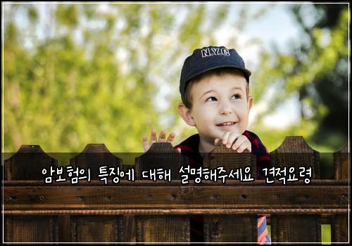 암보험의 특징에 대해 설명해주세요 견적요령