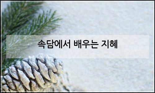 오늘의 이미지