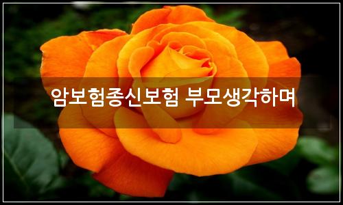 오늘의 이미지