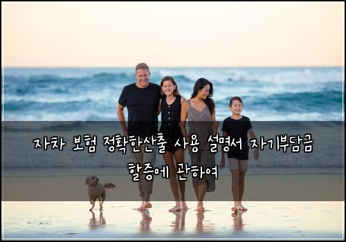 자차 보험 정확한산출  사용 설명서 자기부담금 할증에 관하여