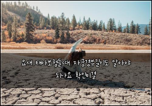 요새 태아보험들때 자궁경부길이도 알아야 되나요 확인비결