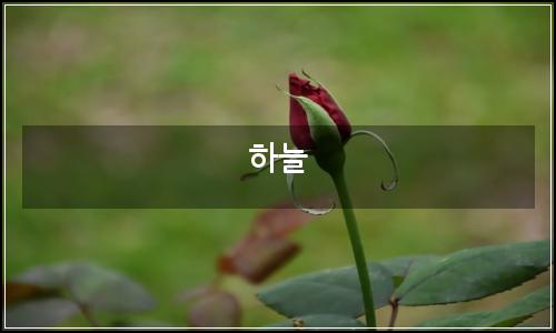 오늘의 이미지