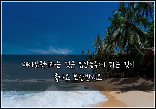태아보험이라는 것은 임신몇주에 하는 것이 좋나요 보장받지요