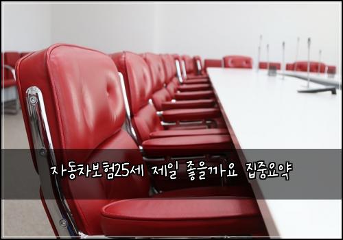 자동차보험25세 제일 좋을까요 집중요약
