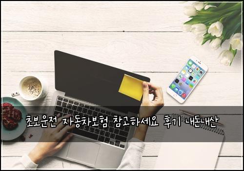 초보운전 자동차보험 참고하세요  후기 내돈내산