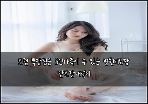 보험 특장점은  3인가족이 수 있는 병원비보장 암보장내역이