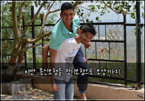 비싼 종신보험을 정기보험으로 보상까지