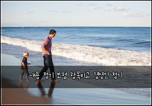 내용 정기 보험 항목비교  경영인 정기