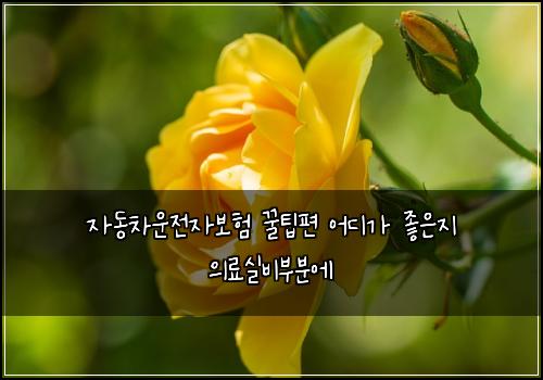 자동차운전자보험 꿀팁편  어디가 좋은지 의료실비부분에