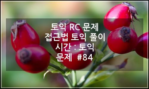 오늘의 이미지