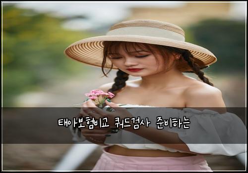 태아보험비교 쿼드검사 준비하는