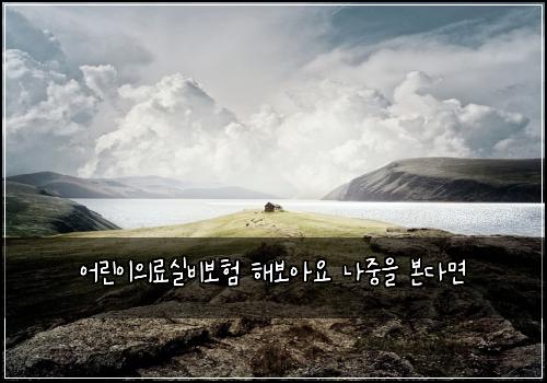 어린이의료실비보험 해보아요  나중을 본다면