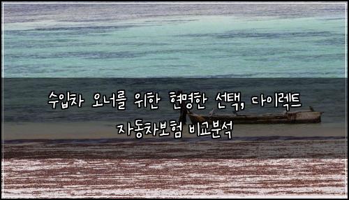 수입차 오너를 위한 현명한 선택, 다이렉트 자동차보험 비교분석