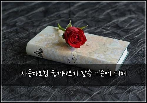 자동차보험 쉽게내보기  할증 기준에 대해
