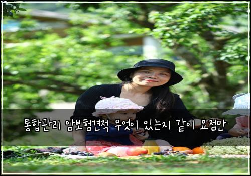 통합관리 암보험견적 무엇이 있는지 같이 요점만