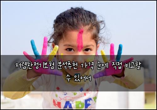 저렴한정기보험 분석추천  가격 눈에 직접 비교할 수 있어서
