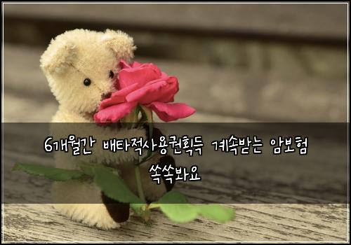 6개월간 배타적사용권획득 계속받는 암보험 쏙쏙봐요 