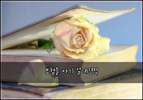 보험을 아기 설계견적