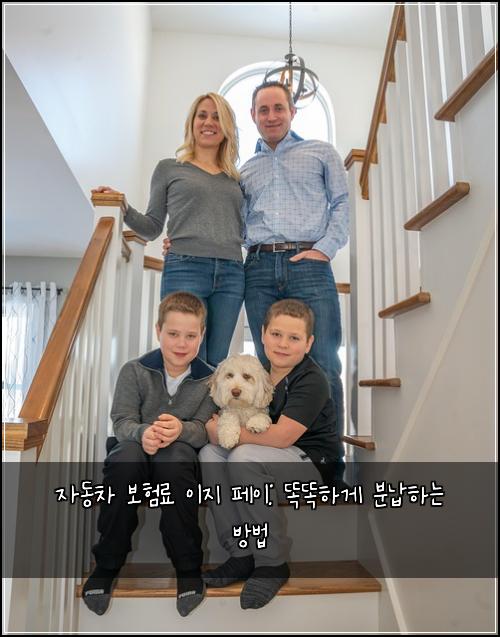 자동차 보험료 이지 페이: 똑똑하게 분납하는 방법