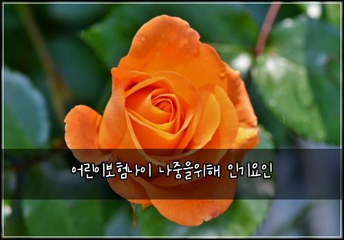 어린이보험나이 나중을위해 인기요인