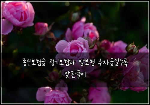 종신보험을 정기보험과 암보험 부자들일수록 알찬풀이