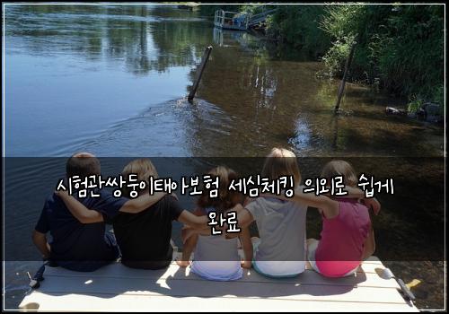 시험관쌍둥이태아보험 세심체킹  의외로 쉽게 완료