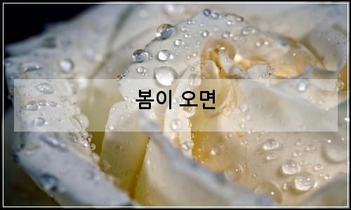 오늘의 이미지