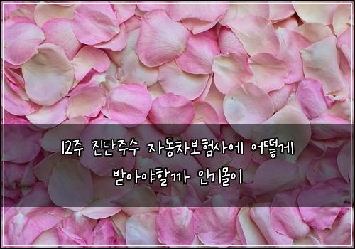 12주 진단주수 자동차보험사에 어떻게 받아야할까 인기몰이