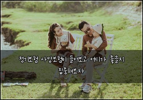 정기보험 사망보험비 들어보고 어디가 좋을지 집중해보자