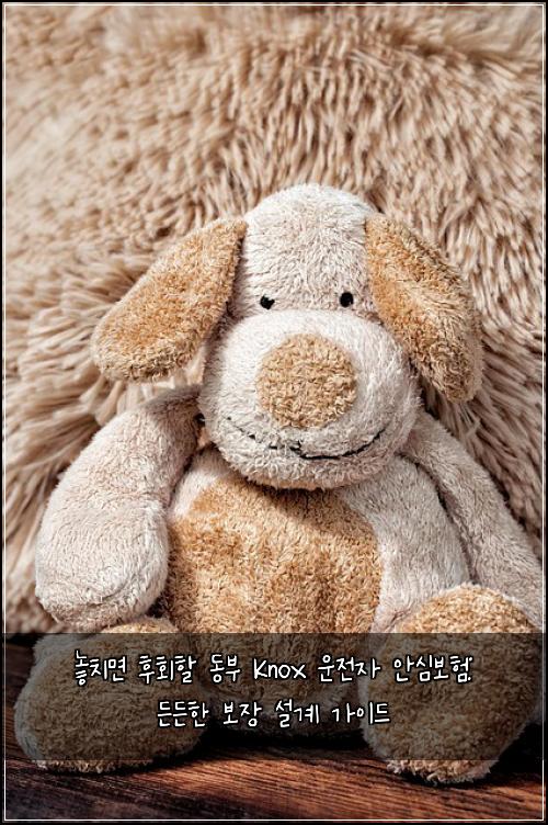 놓치면 후회할 동부 Knox 운전자 안심보험: 든든한 보장 설계 가이드