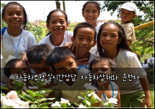 자동차보험 실시간상담  자동차상해와 운전자