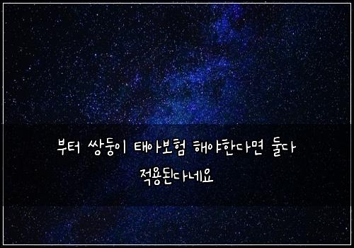 부터 쌍둥이 태아보험 해야한다면  둘다 적용된다네요