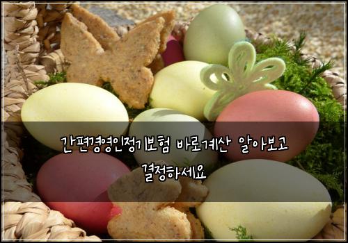 간편경영인정기보험 바로계산  알아보고 결정하세요
