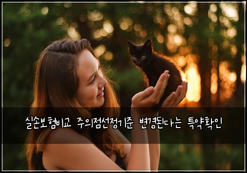 실손보험비교 주의점선정기준 변경된다는 특약확인