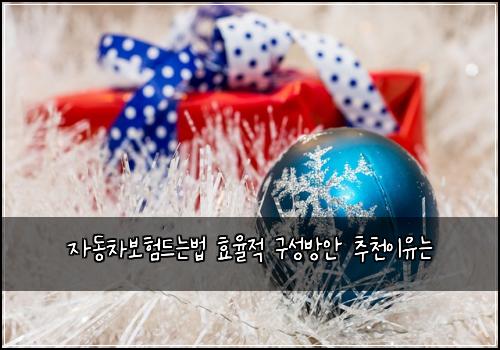 자동차보험드는법 효율적 구성방안 추천이유는