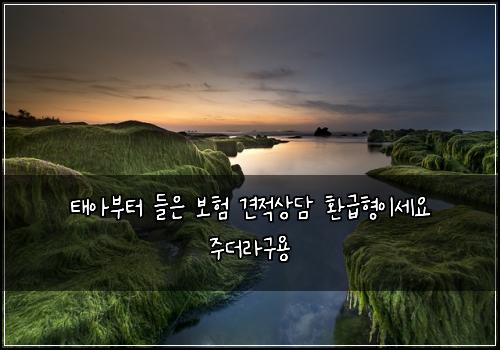 태아부터 들은 보험 견적상담  환급형이세요 주더라구용