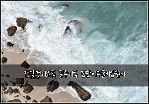 건강정기보험 필수기억  진단비수술비입원비