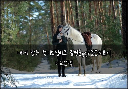 내게 맞는 정기보험비교 질병콛gqr실손의료비 비교선택