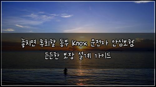  놓치면 후회할 동부 Knox 운전자 안심보험: 든든한 보장 설계 가이드