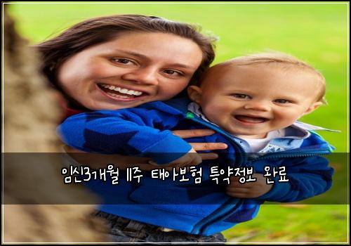 임신3개월 11주 태아보험 특약정보  완료
