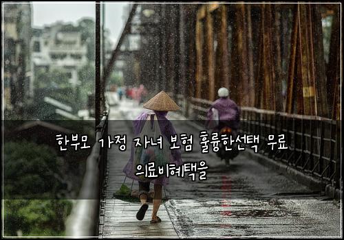 한부모 가정 자녀 보험 훌륭한선택  무료 의료비혜택을